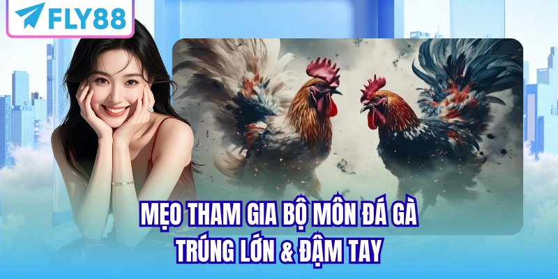 Mẹo tham gia bộ môn đá gà trúng lớn & đậm tay