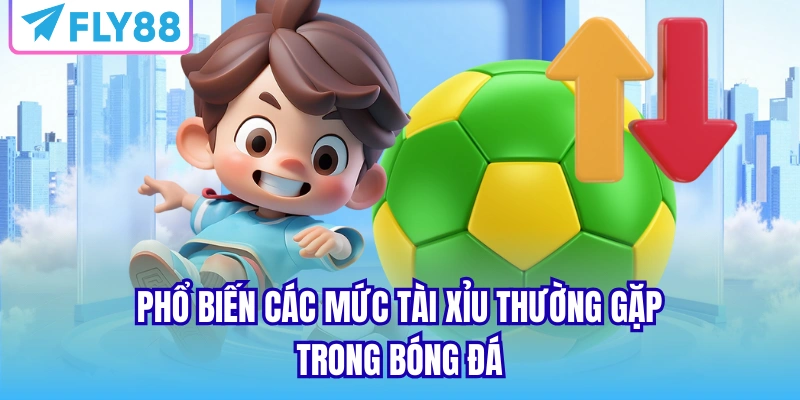 Phổ biến các mức Tài Xỉu thường gặp trong bóng đá